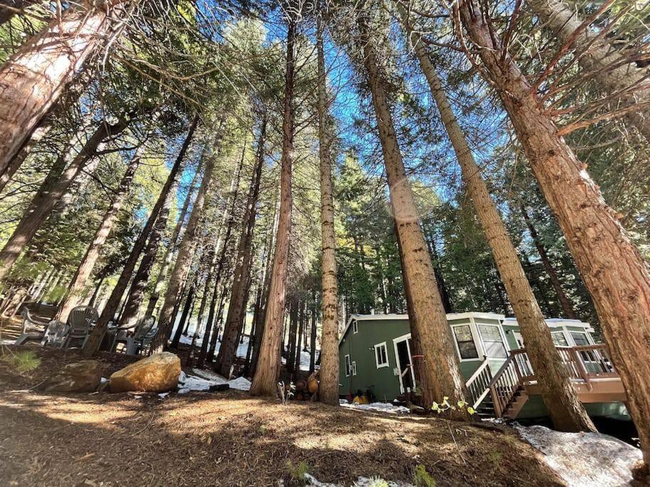 Cedar Oasis - Home Base To Big Trees Арнольд Екстер'єр фото